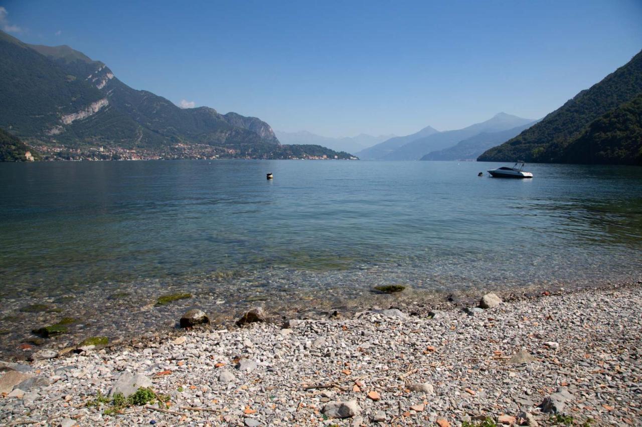 La Terrazza Sul Lago Lezzeno Eksteriør billede